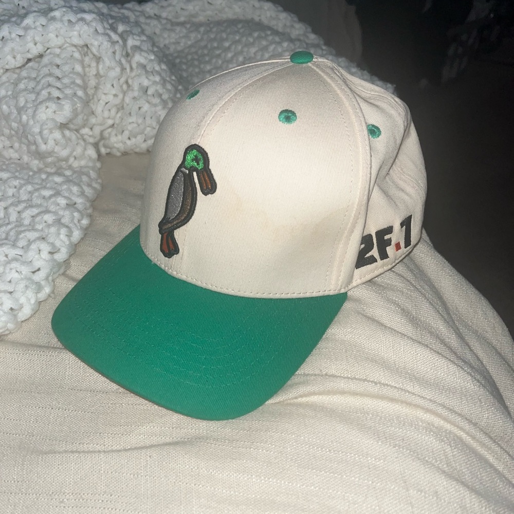 COPY - 2F-7 Duck Hat green